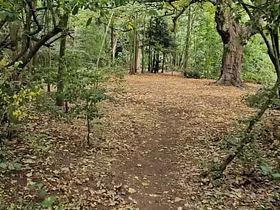 Clapham Common cruising trails - June 2025 asian interracial gay sex videos