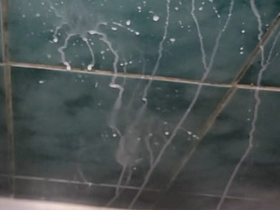 I'm trying a forethought to increase sperm count asian hd sexual congress videos new gay