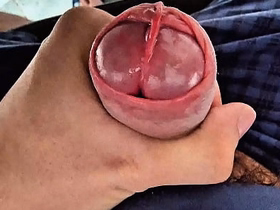 Rare Cock Head Slit Edging with Precum asian jubilant sex videos with audio