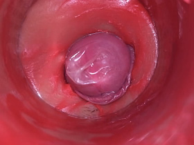 CAMERA INSIDE PUSSY: POWERFULL CUM IN PUSSY! BEST Internal ASMR in 4K grown-up asian living souls to living souls gay sex videos