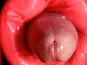 Dinosaur Anal sex asian gay videos